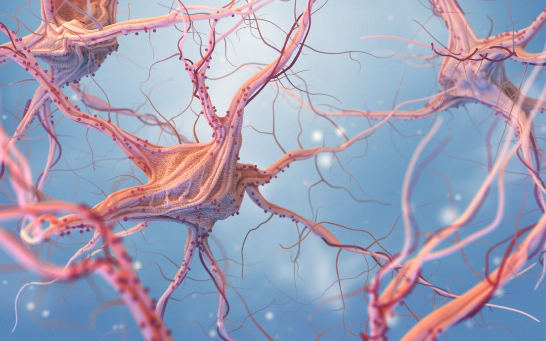 Alzheimer: la vita va avanti! Spunti per una nuova visione